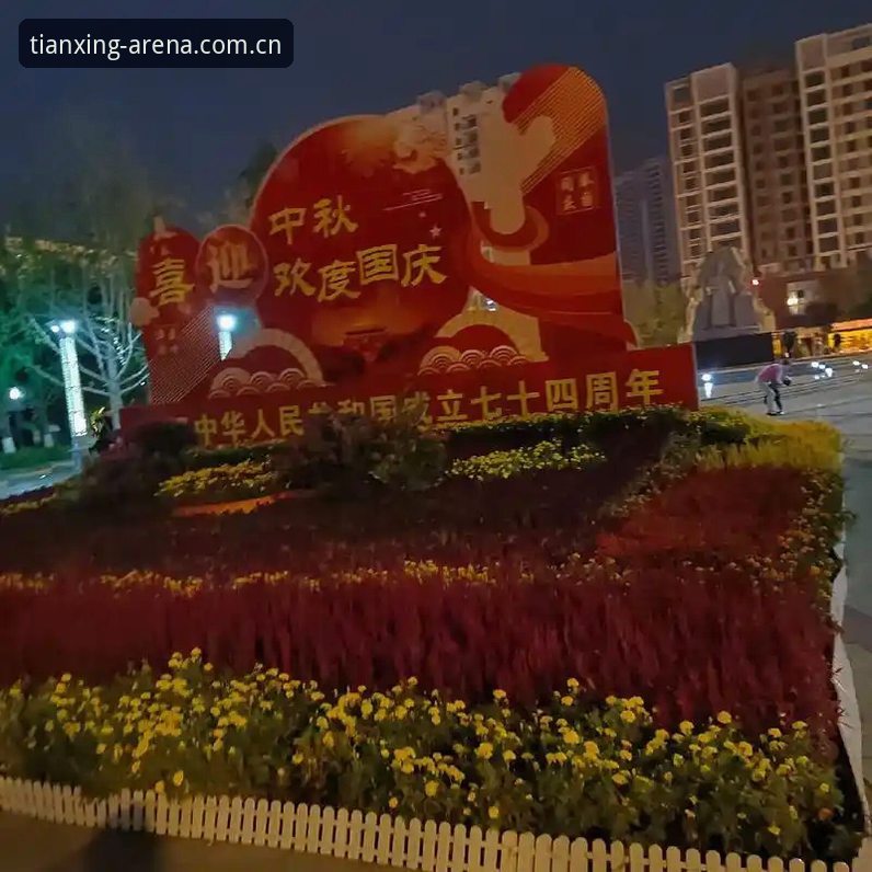 天行体育直播软件常见问题解决教程：从入门到流畅观赛