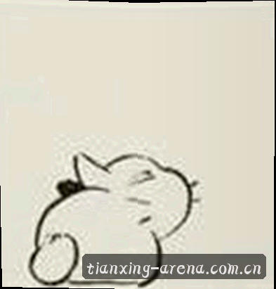 王磊
